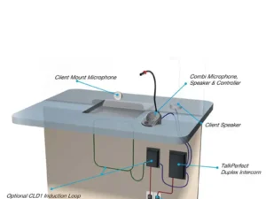 Speech Transfer Systems